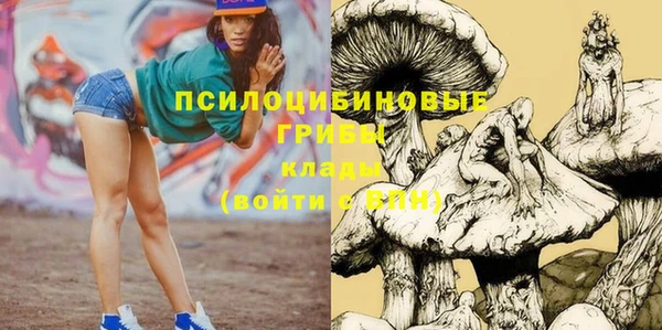 прущий лед Переславль-Залесский