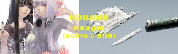 спайс Пересвет