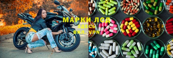 спайс Пересвет