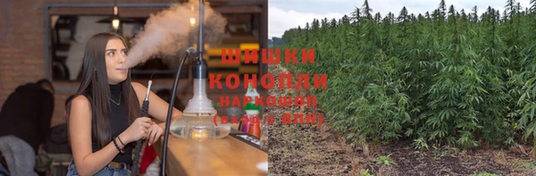 спайс Пересвет