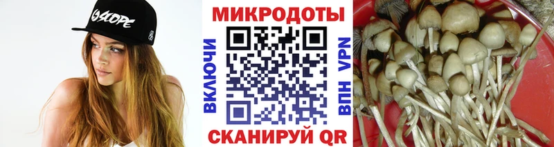 Псилоцибиновые грибы Psilocybine cubensis  закладки  Кунгур 