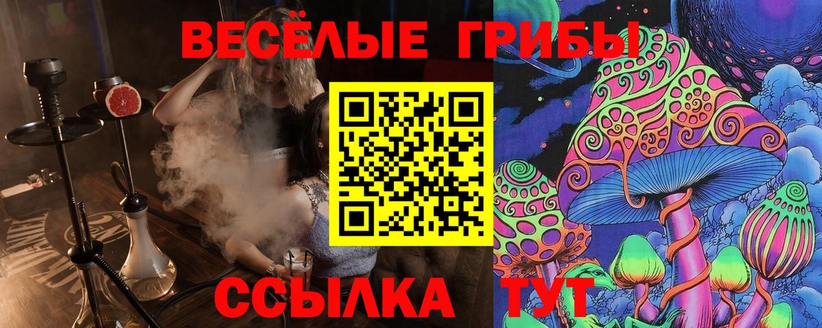 Псилоцибиновые грибы мухоморы Кунгур