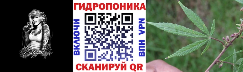 Шишки марихуана сатива  Кунгур 